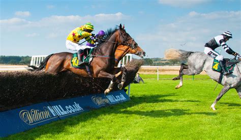 uk horse racing results bbc|Horse Racing .